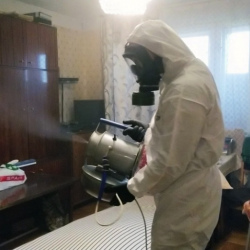 Дезинфекция от клопов в Стрежевом