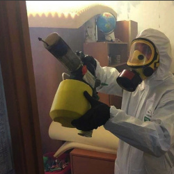 Уничтожение клопов в квартире. Стрежевой